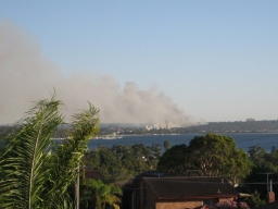Kings Park fire (photo from ABC)