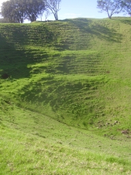 Crater of Maungawhau