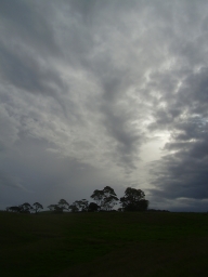 Sky near Waitangi