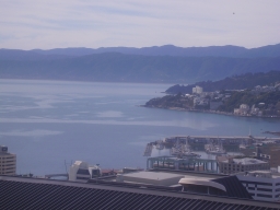 View of Wellington from VUW